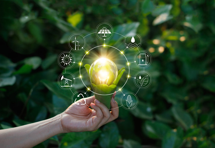 Hand holding light bulb against nature on green leaf with icons energy sources for renewable, sustainable development. Ecology concept. Elements of this image furnished by NASA.